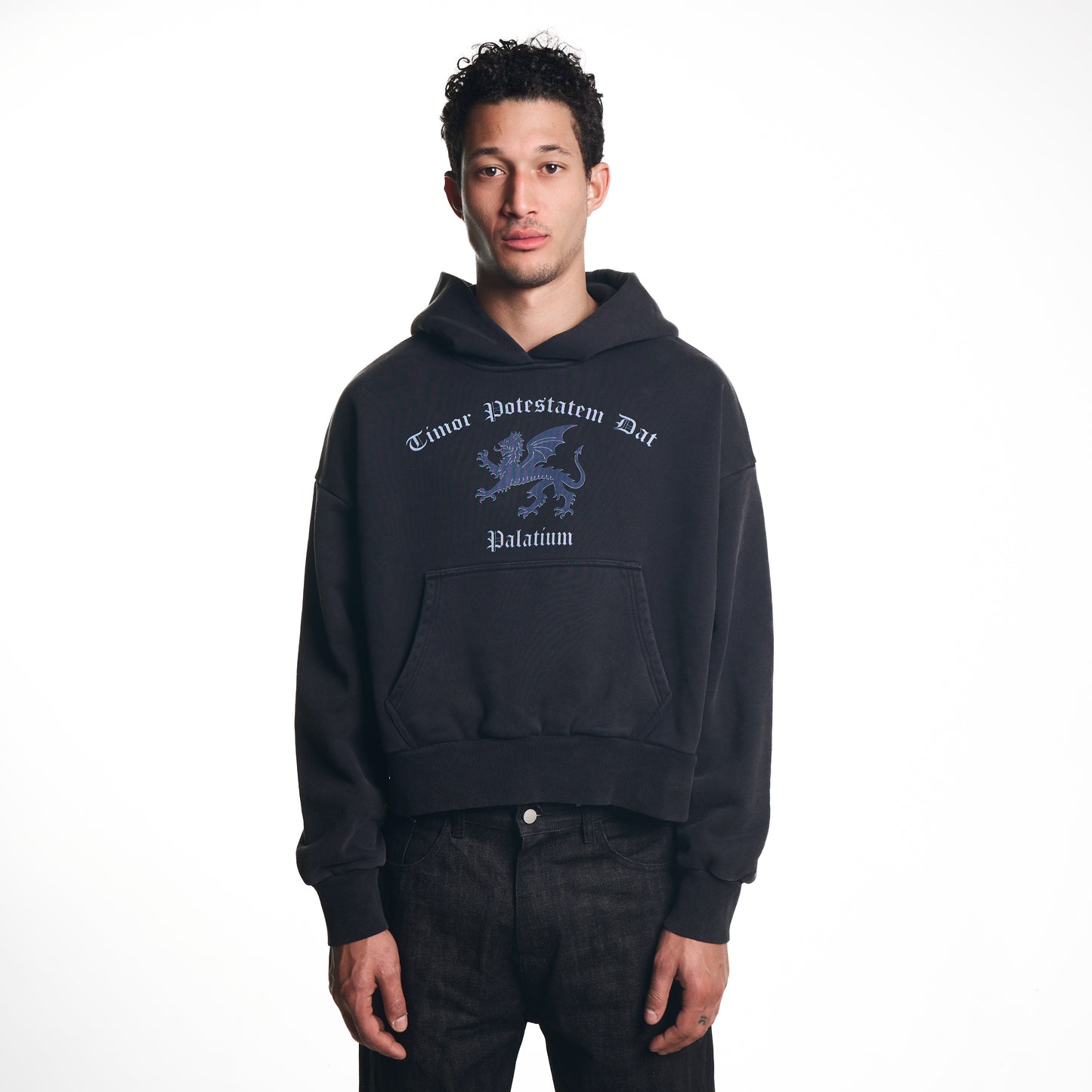 TDP HOODIE [BLACK]