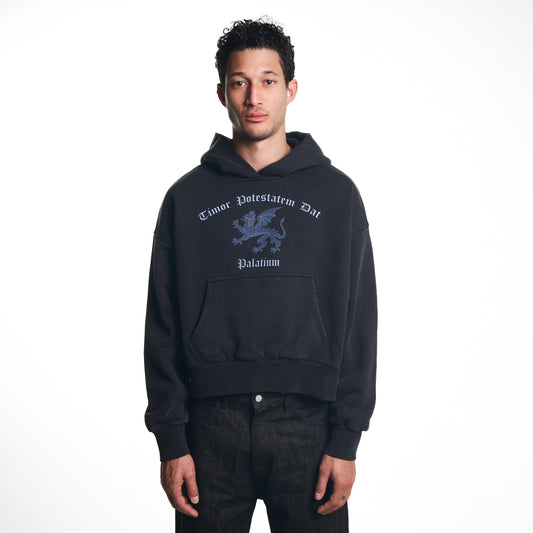 TDP HOODIE [BLACK]